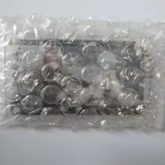 トワツガイ 支配 タカ カモメ アクリルキーホルダー