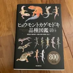 2025年最新】ヒョウモントカゲモドキ品種図鑑の人気アイテム