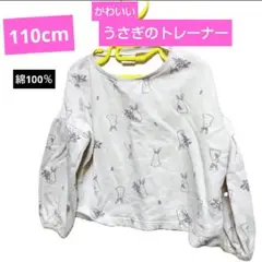 Item thumbnail for item 5108723e-3a2d-4565-ad63-0081178928b0