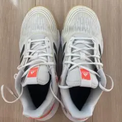 Item thumbnail for item a830f9ed-b838-4b27-ae62-43c516ad5d54