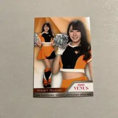 Item thumbnail for item 2302e8dc-6fb8-47b8-9a5e-822a5956fb07