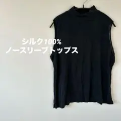 Item thumbnail for item 0b4c90da-730b-4de6-b566-d2ad98957d7c