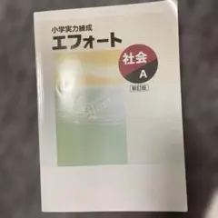 エフォート 社会 A 新版