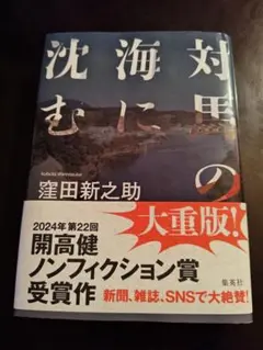 対馬の海に沈む