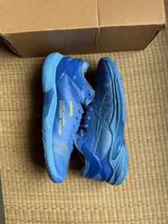 asics ballaholic ゲルバースト　29cm 2025年最新】ballaholic asics ゲルバーストの人気アイテム