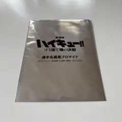 Item thumbnail for item a8c7303e-f767-401f-a0b0-0e37395f28ab