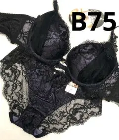 B75 シャルムチュールホールブラジャー&バック透けフルバックショーツ
