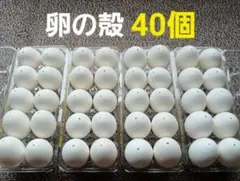 卵の殻(白色) 40個