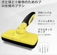 Item thumbnail for item c7774952-9d15-434f-8b7d-aa70b9a79fdd