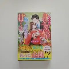 愛のない身分差婚のはずが、極上御曹司に甘く娶られそうです