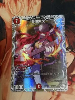 春咲栄久 はるさきえいく ドラゴン娘 キャラプレミアムトレジャー
