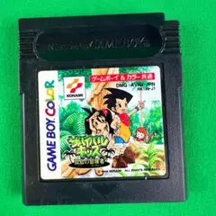 ゲームボーイカラー　サバイバルキッズ　孤島の冒険者　ソフトのみ　動作確認済み