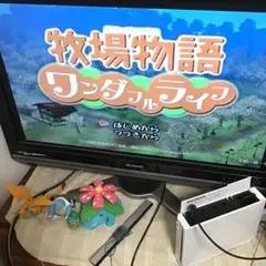 牧場物語 ワンダフルライフ ゲームキューブ　起動確認済み