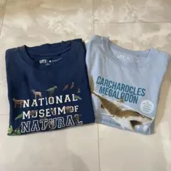 ユニクロUT スミスソニアンTシャツ2枚セット 120.130サイズ　まとめ売り