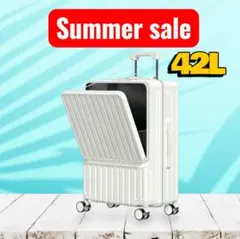 スーツケース 42L TSAロック式 超軽量 耐衝撃 USB充電ポート付