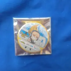ヒロアカ　静岡鉄道　缶バッジ