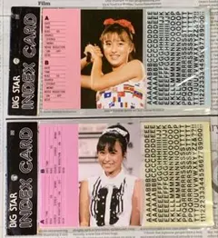 渡辺美奈代　カセットインデックスカード ２袋セット