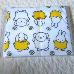 Item thumbnail for item ae997818-eee3-44fa-a23a-c95b24b25101