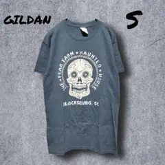 a161　【GILDAN】　Tシャツ　ブルーグレー　S　古着　死者の日　メキシコ