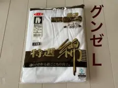 Item thumbnail for item 706f9b1b-0258-4e3f-8734-28a28fa962ce