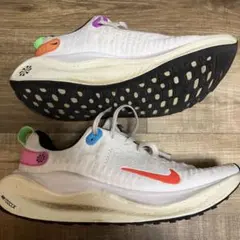 【限定カラー】　NIKE Infinity Run 4 27.5cm