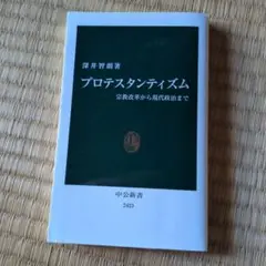 プロテスタンティズム 宗教改革から現代政治まで
