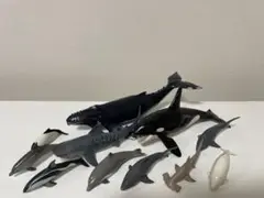 2025年最新】シュライヒ クジラの人気アイテム - メルカリ