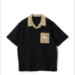 Item thumbnail for item 0bf6ab45-090a-4fcd-a1d6-4328b3ee079f