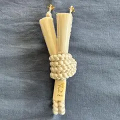 Item thumbnail for item e2885bba-a666-4034-9dce-fe4dbb962937