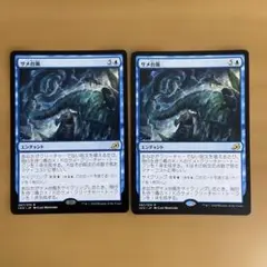 サメ台風 2枚セット