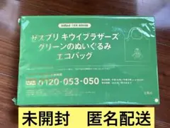 InRed 2025年7月号付録のみ　ゼスプリ キウイブラザーズ グリーン