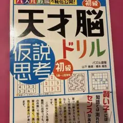 天才脳ドリル 仮説思考 初級