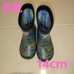 Item thumbnail for item f90e5600-1ad1-4008-b542-5bd81c25539d