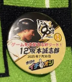 阪神タイガース イチオシ缶バッジ 坂本誠志郎捕手