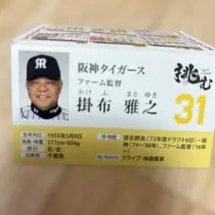 直筆サイン色紙　掛布雅之　藤田平　佐野仙好 直筆サイン色紙 掛布雅之 藤田平 佐野仙好 - メルカリ