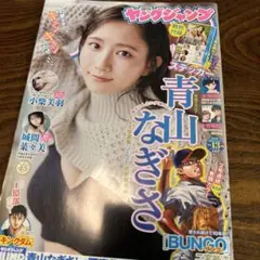 Item thumbnail for item 02f67788-a416-48cb-a90f-31a8f72ea60c