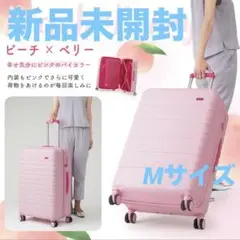 新品未開封 キャリーバッグ