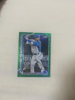 Item thumbnail for item d16b1d3a-7951-4896-90ba-d56ebd566403