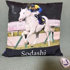 サラブレッドコレクション ソダシ クッション 扇子 セット 競走馬 サラブレッドコレクション ソダシ クッション 扇子 セット 競走馬