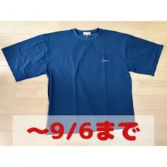 【〜9/6まで】Tシャツ 大きいサイズ