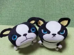 ジョジョの奇妙な冒険 イギー ころりんフレンズ 2個セット