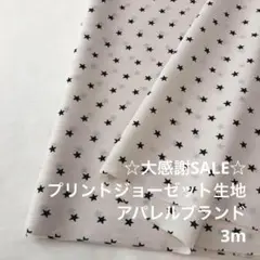 S2L/5736-01◆3m 感謝祭/ポリエステルプリントジョーゼット生地