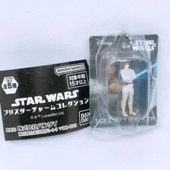 STAR WARS ブリスターチャームコレクション ルークスカイウォーカー