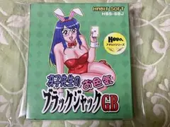 冴子先生のお色気ブラックジャック gb