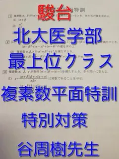 駿台 20年度 物理S 新田・後藤・高井・古大工　板書 付属 新・物理入門〈増補改訂版〉 (駿台受験シリーズ) | 山本 義隆