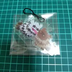 ポケモン にたものどうし アクリルチャーム ジグザグマ＆ガラルジグザグマ 1点