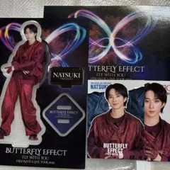 澤本夏輝シクレトレカ３枚、アクリルスタンド FLY WITH YOU 2025