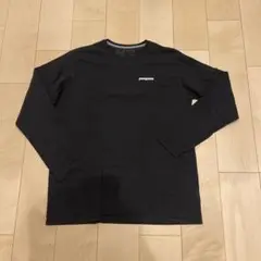 patagonia パタゴニアTシャツ L