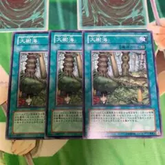 【No.632】大樹海