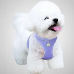 Item thumbnail for item 11876150-18bd-47c5-b887-f68aa69391db